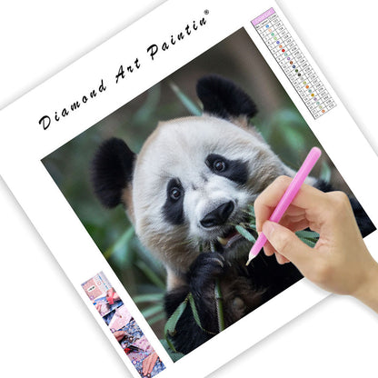 Fridfull panda – Diamantmålning
