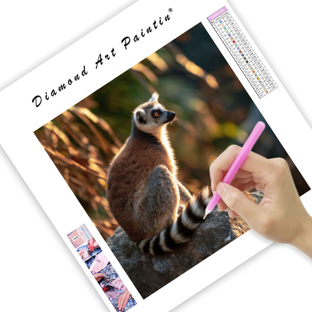 Ringstjärtad lemur som solar – Diamantmålning