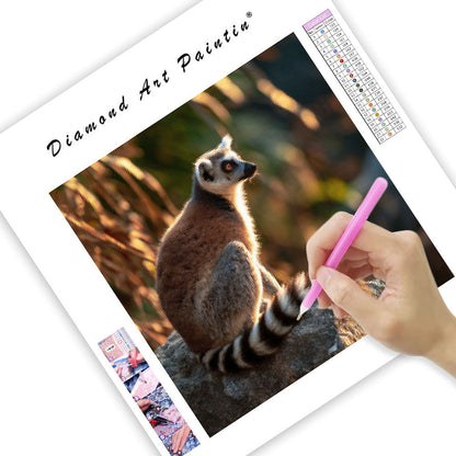 Ringstjärtad lemur som solar – Diamantmålning