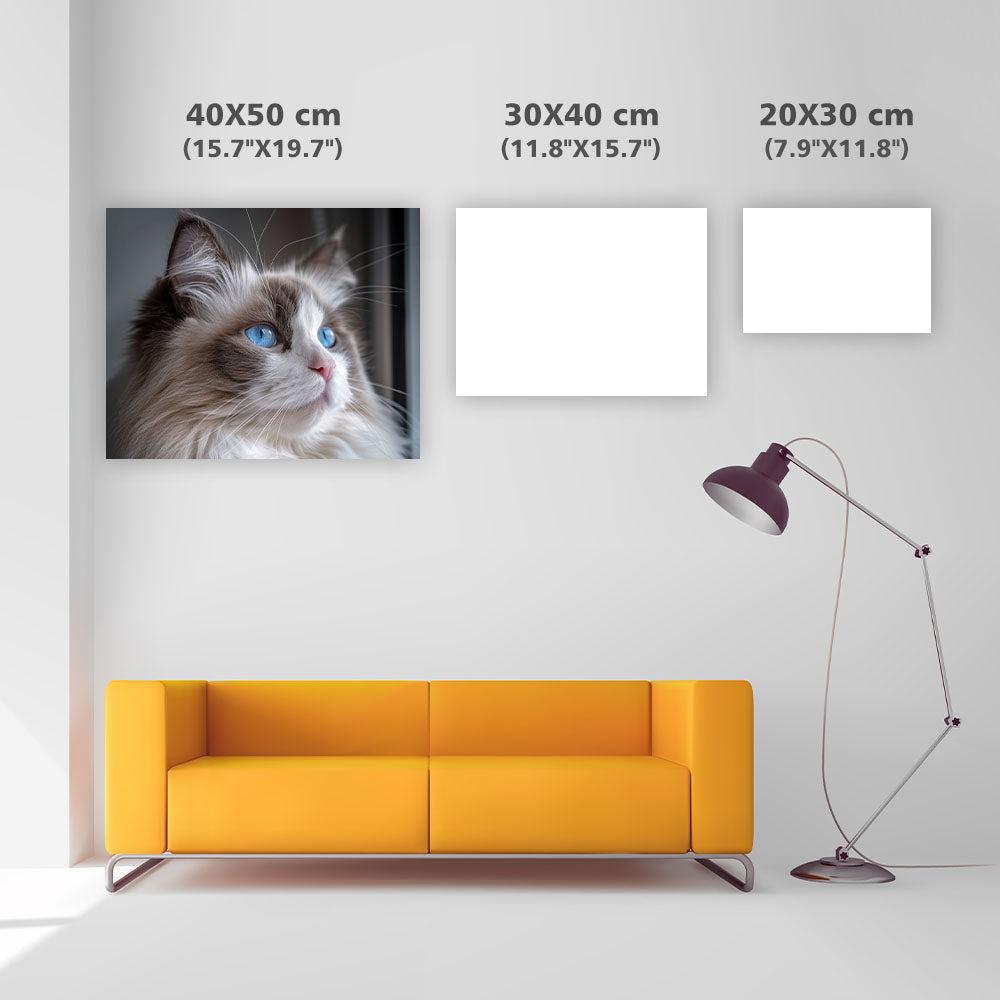 Ragdollkatt med blå ögon – Diamantmålning