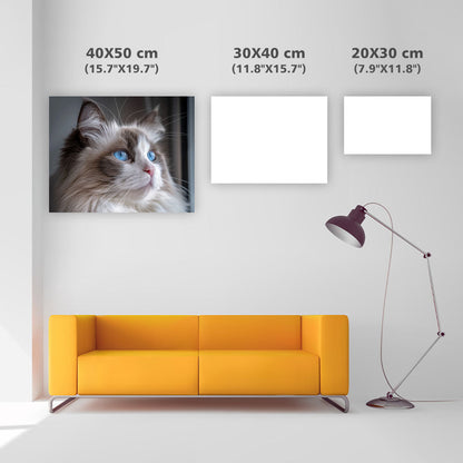 Ragdollkatt med blå ögon – Diamantmålning