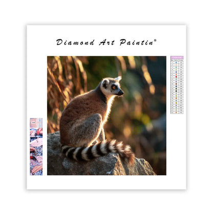 Ringstjärtad lemur som solar – Diamantmålning