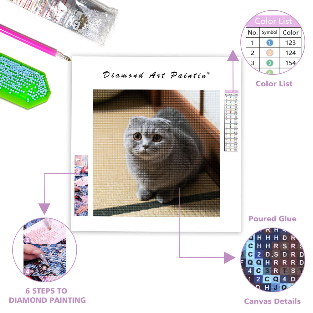 Scottish fold-katt i limpposé – Diamantmålning