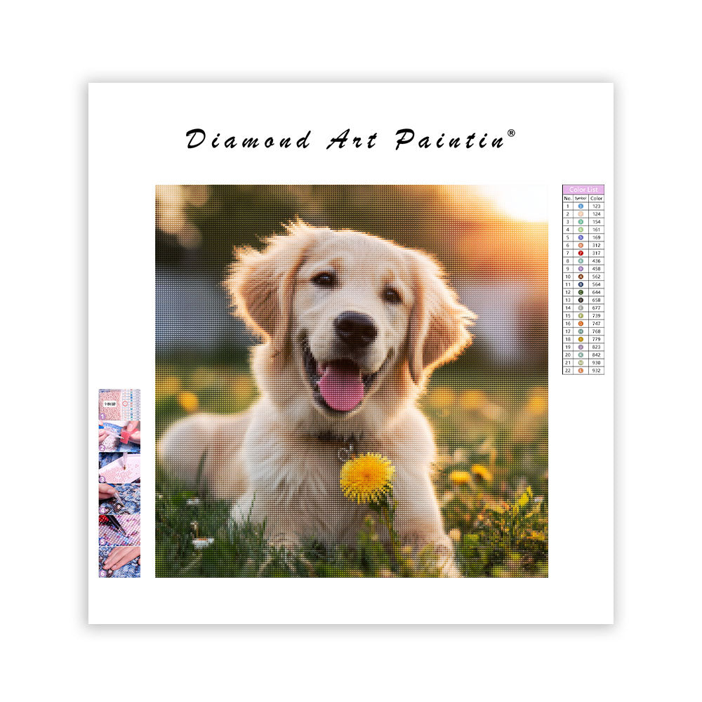 Golden retriever med maskros – Diamantmålning