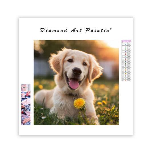 Golden retriever med maskros – Diamantmålning