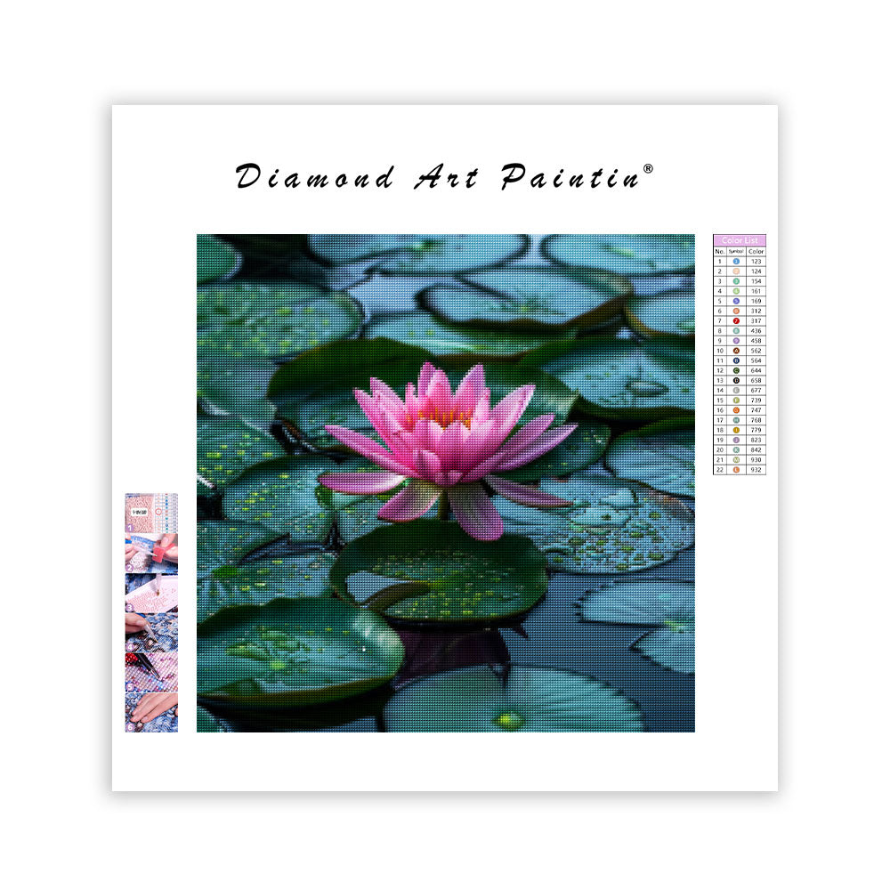 Lotusfrid – Diamantmålning