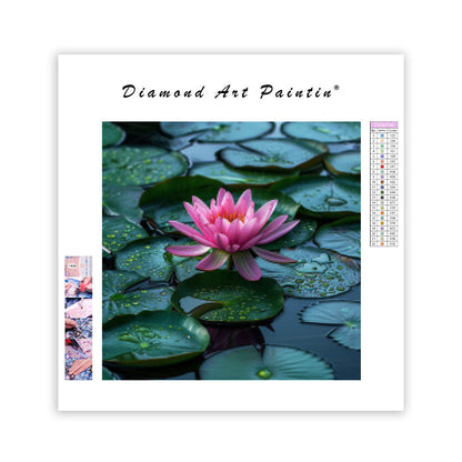 Lotusfrid – Diamantmålning