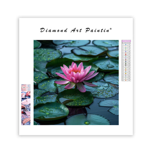 Lotusfrid – Diamantmålning