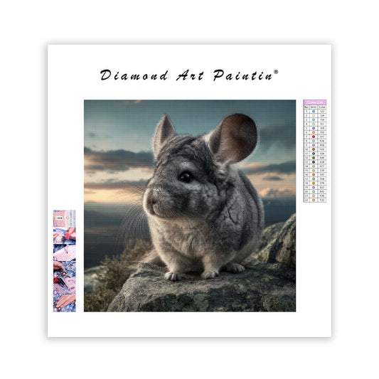 Chinchilla på klippa – Diamantmålning