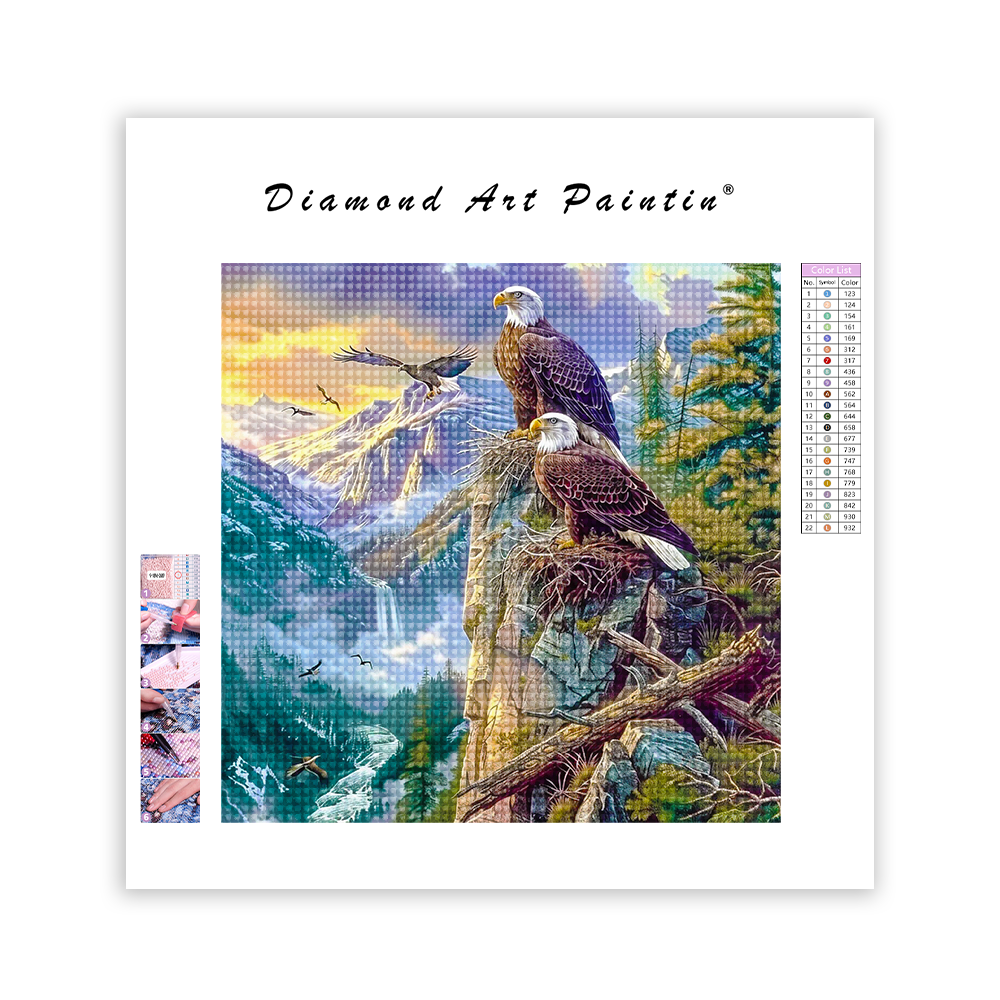 Eagle'S Gaze - DiamantmåLning