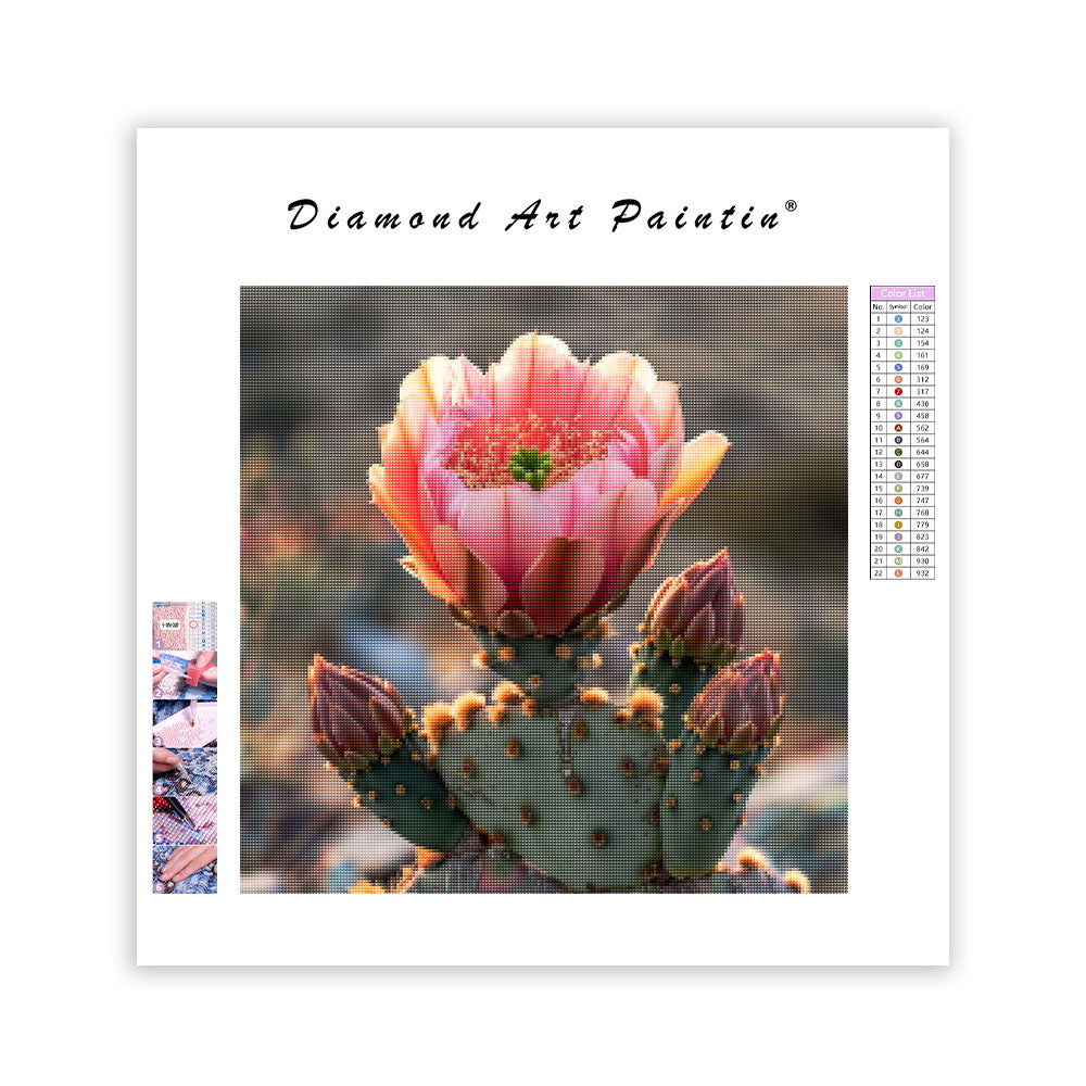 Blommande kaktus – Diamantmålning