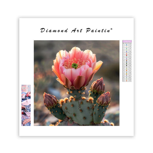 Blommande kaktus – Diamantmålning