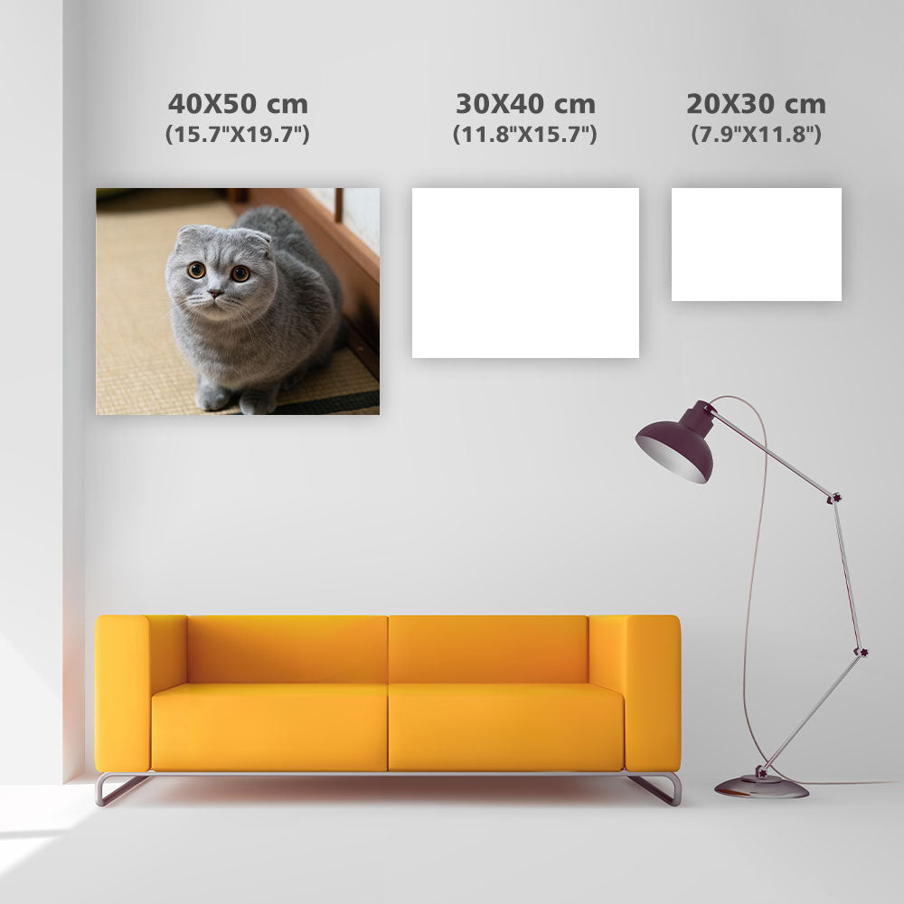 Scottish fold-katt i limpposé – Diamantmålning