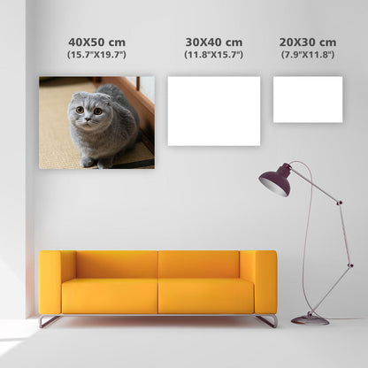 Scottish fold-katt i limpposé – Diamantmålning