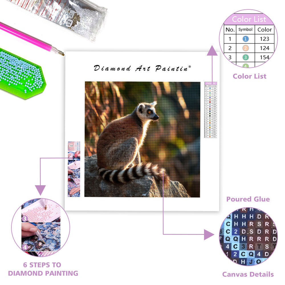 Ringstjärtad lemur som solar – Diamantmålning