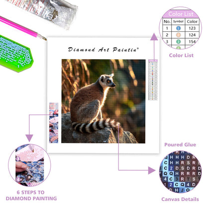 Ringstjärtad lemur som solar – Diamantmålning