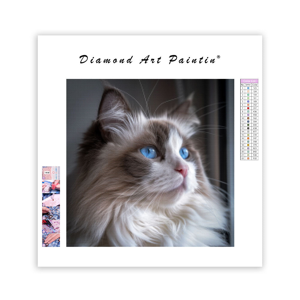 Ragdollkatt med blå ögon – Diamantmålning